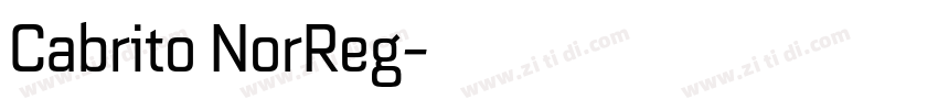 Cabrito NorReg字体转换